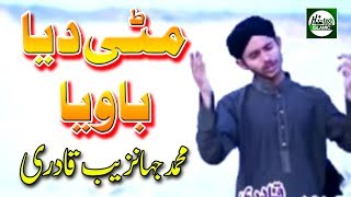 MITTI DEYA BAWIYA  MUHAMMAD JAHANZAIB QADRI  OFFICIAL HD VIDEO  HITECH ISLAMIC  BEAUTIFUL NAAT [upl. by Enytsirhc241]