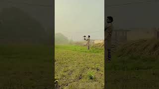 My bonelli eagle came into the calling baaz eaghal 🦅🎴 falcon bird viralvideo viralshorts [upl. by Arok]