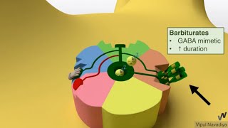 Drugs Acting on GABAA Receptor Mechanisms [upl. by Kcirederf]