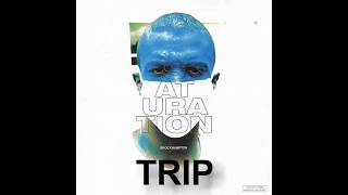 BROCKHAMPTON  Every Verse by Ameer Van SATURATION ERA [upl. by Souvaine864]