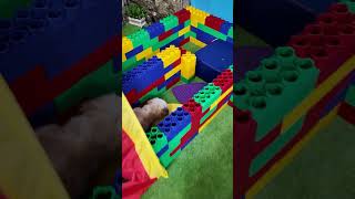 Wiggles Waggles and Waffles have a Dog Obstacle Course Race FamilyFun FunnyDogs ObstacleCourse [upl. by Vasili888]