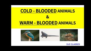 COLD  BLOODED ANIMALS amp WARM  BLOODED ANIMALS  POIKILOTHERMIC ANIMALS  HOMEOTHERMIC ANIMALS [upl. by Gosney603]