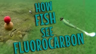 How fish see flurocarbon fishing lines [upl. by Novel407]