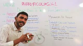 Antimicrobials Antimicrobial Drugs Antibiotics Antiviral Antifungal in HindiUrdu [upl. by Rambow]