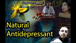 St Johns Wort  Perfect Antidepressant [upl. by Magdaia]