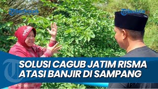 ATASI BANJIR MUSIMAN DI SAMPANG Ini Solusi Calon Gubernur Tri Rismaharini [upl. by Aerda]