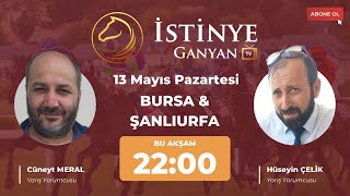 13 Mayıs Pazartesi Bursa amp Şanlıurfa At Yarışı Tahminleri  Konuk  Cüneyt Meral amp Hüseyin Çelik [upl. by Mavis]