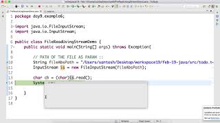 Day9 Read file using FileInputStream in Java [upl. by Home464]