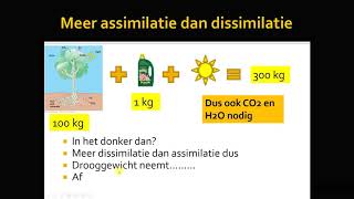 samenhang assimilatie en dissimilatie [upl. by Steere]