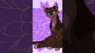 🤎🤍BriarlightBelle Églantine🤍🤎Warrior CatsLa Guerre des Clanswarriorcats laguerredesclans [upl. by Ayotl]