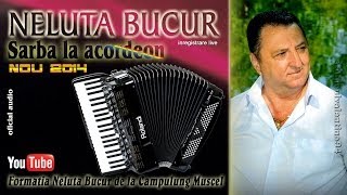 NELUTA BUCUR  Sarba la acordeon 1 live audio [upl. by Auqinom766]