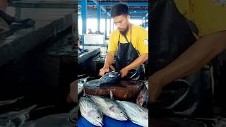 Amazing skipjack tuna cutting skillsg food satisfying [upl. by Inge]