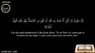 27 Surat AnNaml  النّمل  🎤 Sad Alghamidi 💯🌹💗🔂 👍 🇵🇹🇧🇷🇦🇴 [upl. by Anitel]