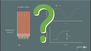 What is biolayer interferometry BLI from Gator Bio [upl. by Kolnos153]