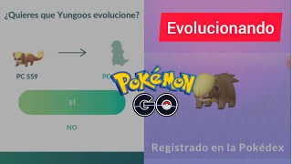 Yungoos to Gumshoos Evolving a Pokémon in Pokémon Go shorts [upl. by Colby]