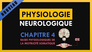 Physiologie Neurologique  Chapitre 4  Bases physiologiques de la motricité somatique [upl. by Daffodil510]