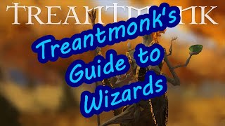 Treantmonks Guide to Wizards Introduction [upl. by Millwater]