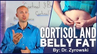 Cortisol And Belly Fat  Does Stress Cause Weight Gain [upl. by Gravante]