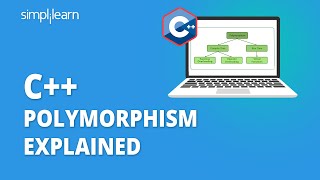 Difference Between Allotropy and Polymorphism [upl. by Muriel]