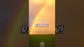 LittleKnown Facts About Rainbows shorts RainbowFacts [upl. by Leahpar19]