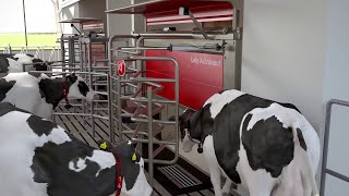 Lely Astronaut A5  The art of milking  kurze Version  DE [upl. by Ader]