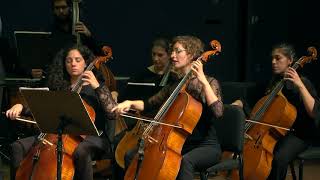 Haydn Cello concerto no 2 [upl. by Nilknarf]