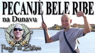 Pecanje bele ribe na Dunavu  pecanje karaša belice šarana bodorke crvenperke deverike [upl. by Niple269]