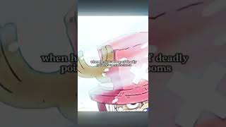 Drhiriluk…past lives slowedreverb chopper Drhiriluk edit onepiece onepieceanimeedit [upl. by Concha]