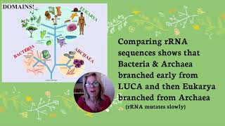 APBio Ch 19 Pt 1 Taxonomy and Systematics [upl. by Reviel]