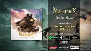 Maestrick  Water Birds Official Audio [upl. by Eberhart]