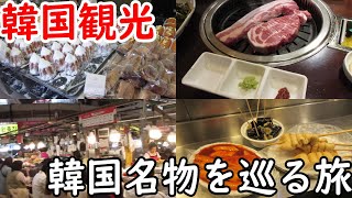 【韓国観光】韓国で食べたいものを食べに行くだけの旅行～サムギョプサル・トッポギ・チヂミなど～ [upl. by Maisey248]