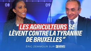 Eric Zemmour dans Face à lInfo  Les agriculteurs se lèvent contre la tyrannie de Bruxelles [upl. by Eeryn]