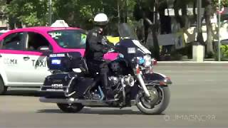 Policía Federal escoltando diplomáticos Motocicletas Harley Davidson [upl. by Nepets424]