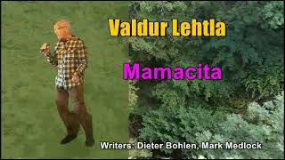 Valdur Lehtla  Mamacita 2017 cover [upl. by Jorey]