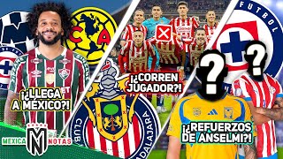 La VERDAD de la llegada de Marcelo a Liga MX🚨Este jugador SE VA GRATIS de Chivas😱¿3 REFUERZOS CAZ [upl. by Hedwig]