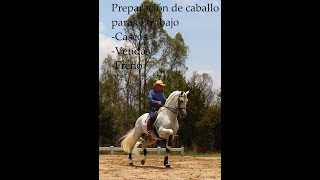 Preparación de caballo de trabajo [upl. by Dan]