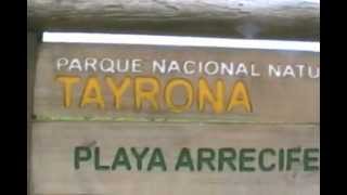 Tragedia en el PARQUE TAYRONA Santa Marta [upl. by Yenffad]