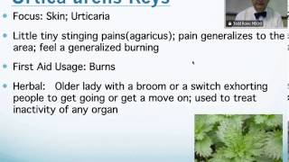 Urtica Urens Homeopathic Medicine Tips For Beginners [upl. by Argela117]