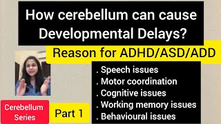 How cerebellum can cause developmental delaysReason for ADHDASDADD amp learning issuespart 1 [upl. by Asiruam]