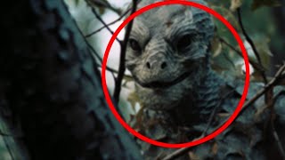 30 Creepiest Things Found In The Woods [upl. by Hunsinger381]