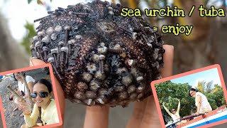 sea urchin  beach mukbang toma tuba  Leah Tuballa [upl. by Hardej]