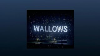 Wallows playlist [upl. by Feodora]