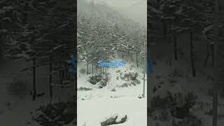 Snowfallshortsvideocomedyviralshorts video [upl. by Willis]