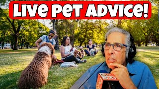 5 MINUTE PET FIXES from The Pet Shows Top Expert [upl. by Aiht]