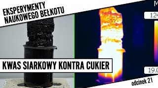 Kwas siarkowy kontra cukier TERMOWIZJA  Eksperymenty NB 21 [upl. by Sang]