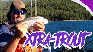 This Tip Will Help You Catch EXTRA Trout Heres How fishing trolling fishingvideo fishinglife [upl. by Enila]