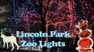 Lincoln Park Zoo Lights in 4K December 2017 Chicago ZooLIGHTS 2018 [upl. by Annovoj411]