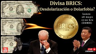 Divisa BRICS ¿Desdolarización o Dolarfobia  Radar Geopolítico  Alfredo Jalife [upl. by Iras]