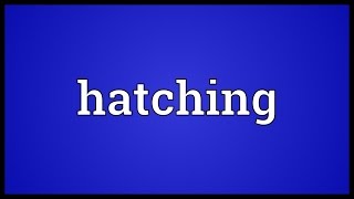 Hatching Meaning [upl. by Igenia]