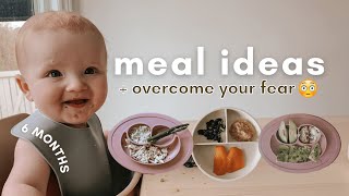 How to Start Baby Led Weaning at 6 Months  BLW Meals  6 Month Baby Update [upl. by Dleifyar186]